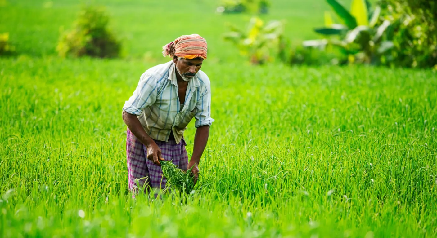 bg_sec_img_home1_page1_sctn6_gf